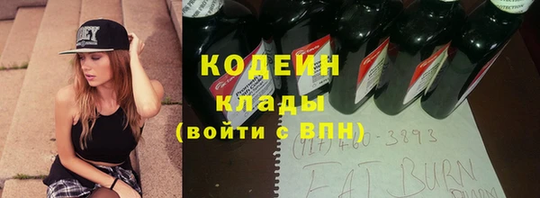 индика Баксан