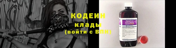 индика Баксан