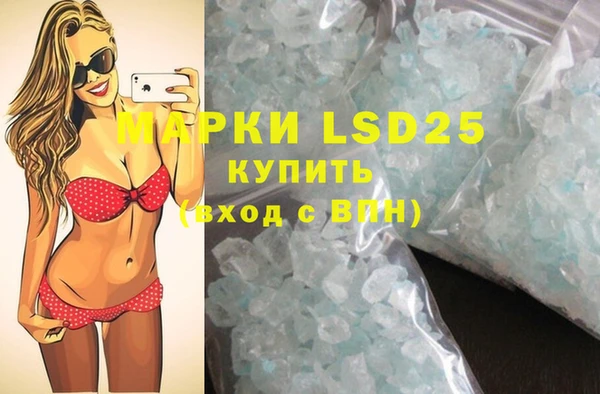 индика Баксан