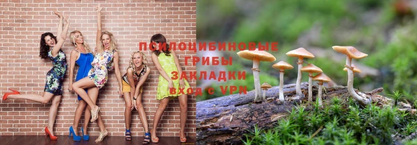 винт Балахна