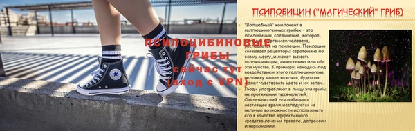 индика Баксан