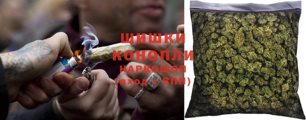 индика Баксан