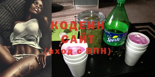 индика Баксан